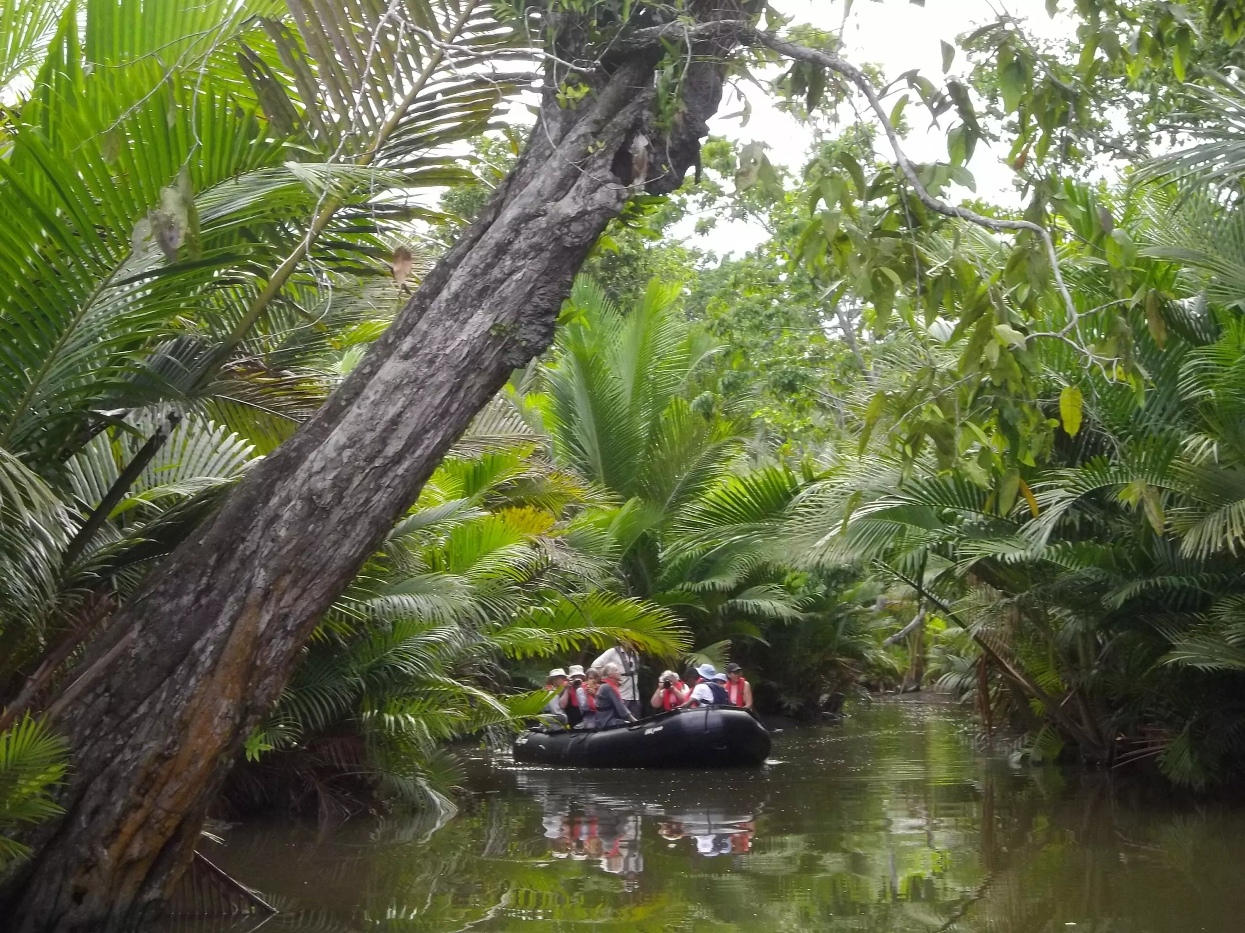 Sepik River Zodiac Isaac Wilson Indonesian Explorer Heritage Expeditions